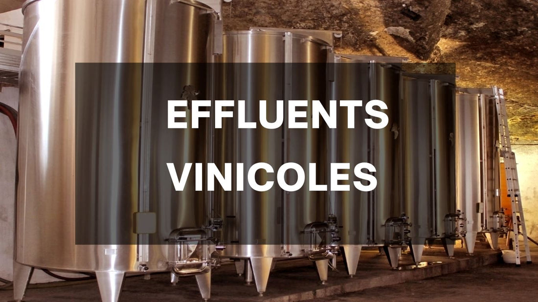 Pourquoi et comment traiter les effluents vinicoles ?