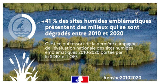 Sites humides en France : 41% ont vu leur état se dégrader entre 2010 et 2020