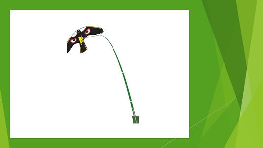Vogelabwehrdrachen – mit 4 m drehbarem Mast